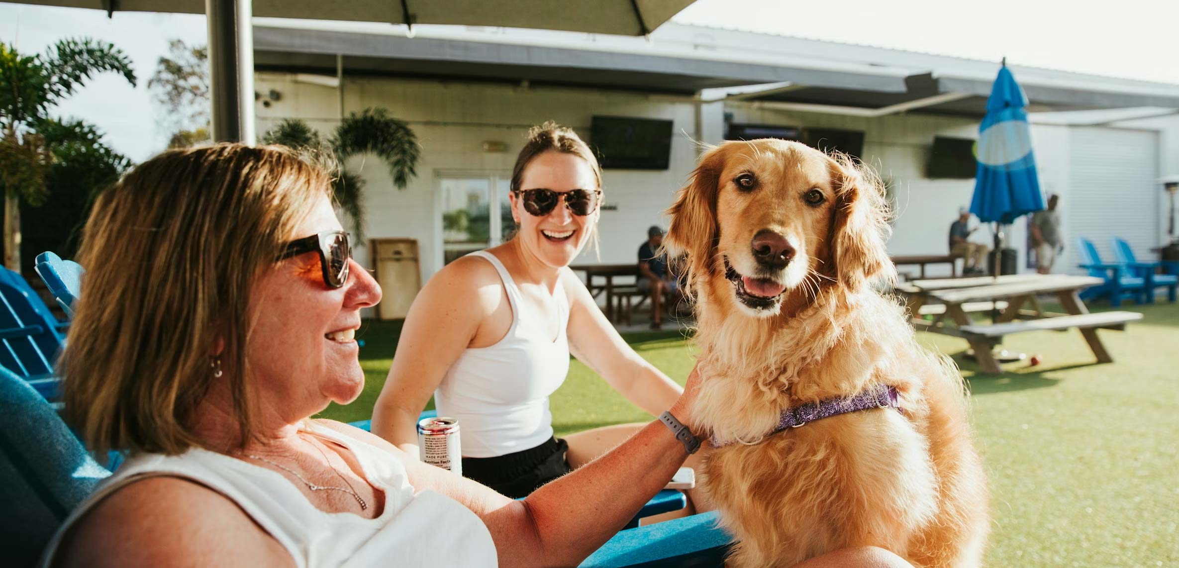 Best All-in-One Dog Supplements: Why One Scoop Beats Five