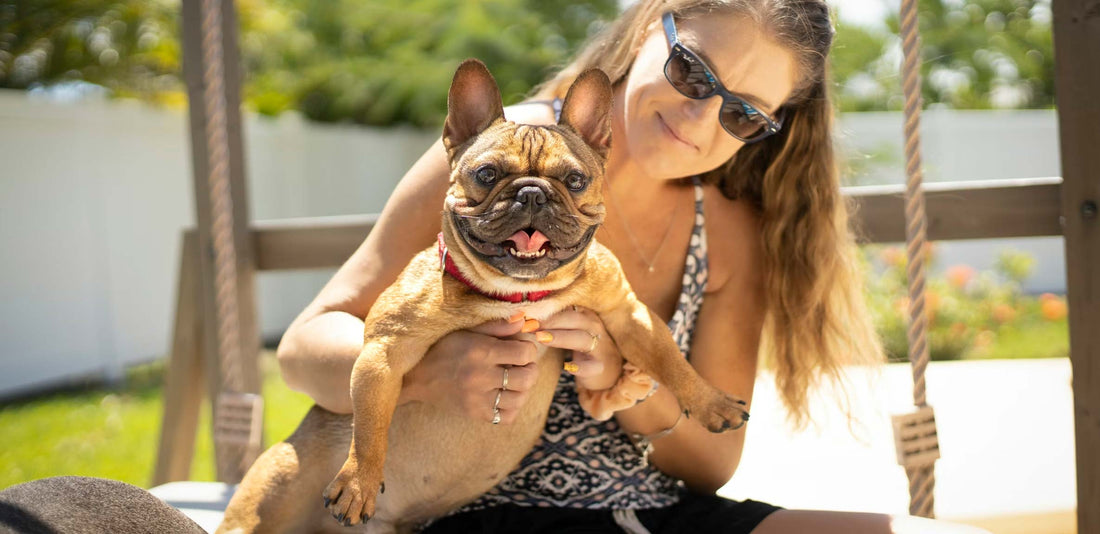 Best Dog Supplement Powders in the UK: What to Look For