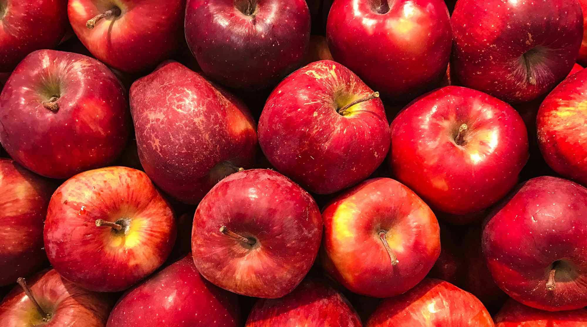 Quercetin-rich foods — allergy and inflammation support in Superwild Super Everyday