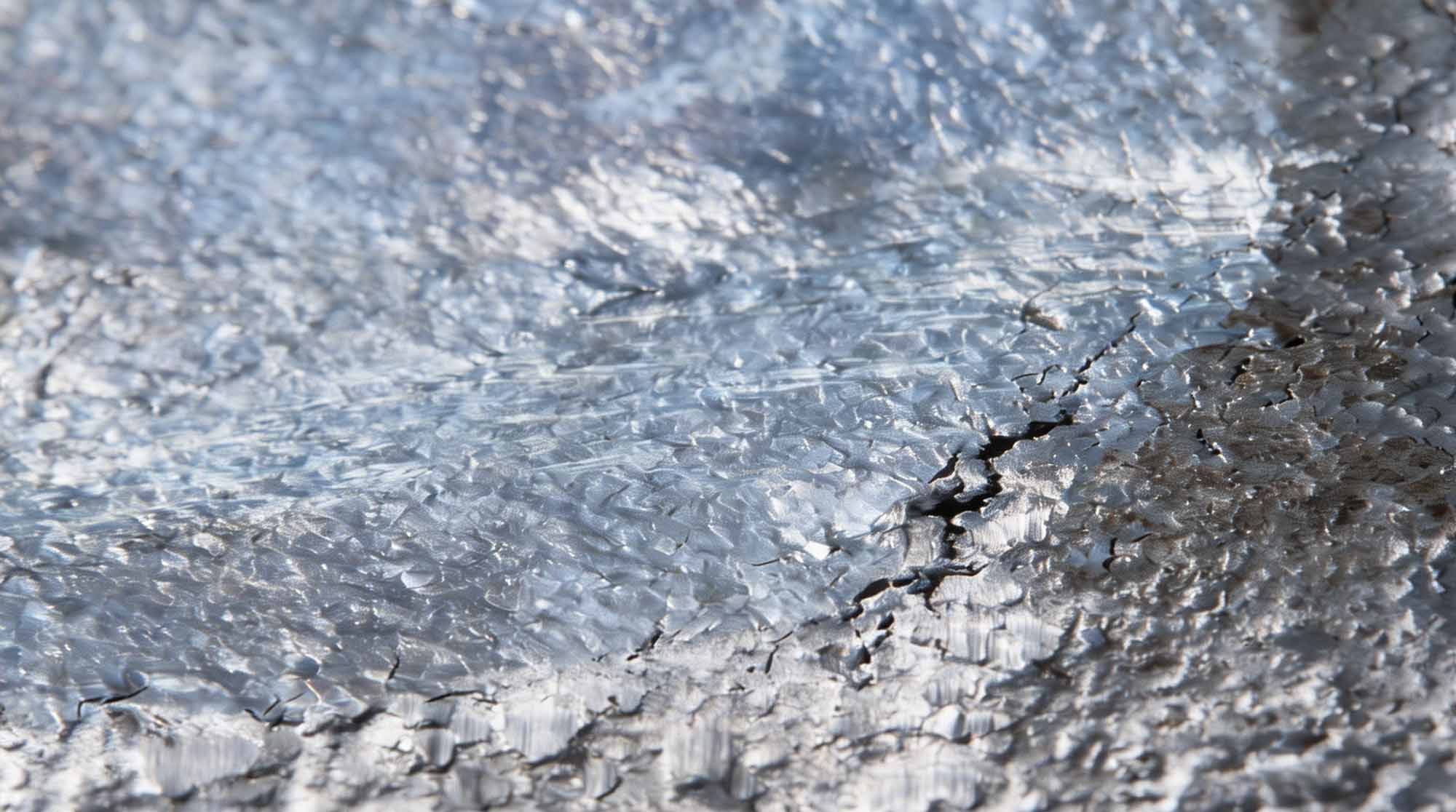 Zinc mineral supplement — skin and immunity support in Superwild Super Everyday
