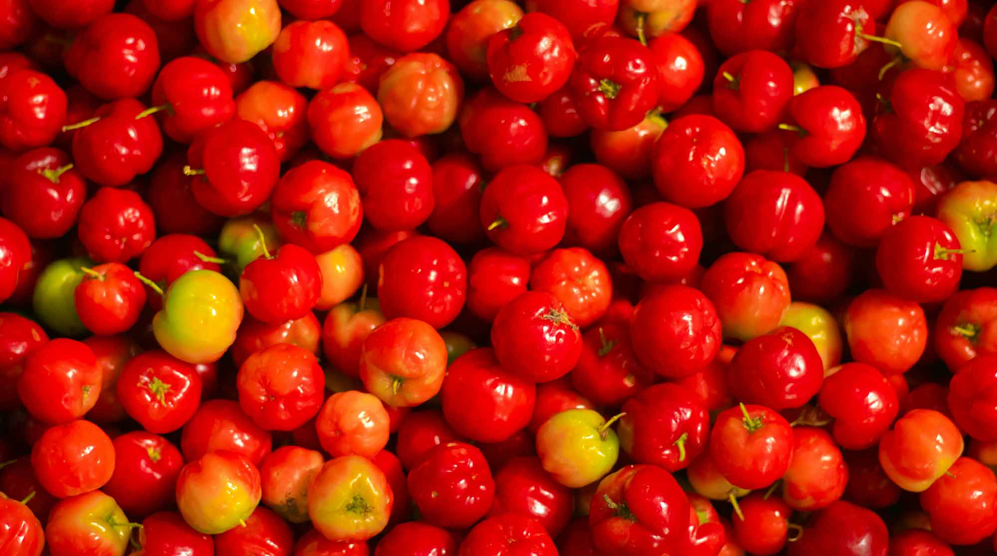 Acerola cherries — natural vitamin C source in Superwild Super Everyday