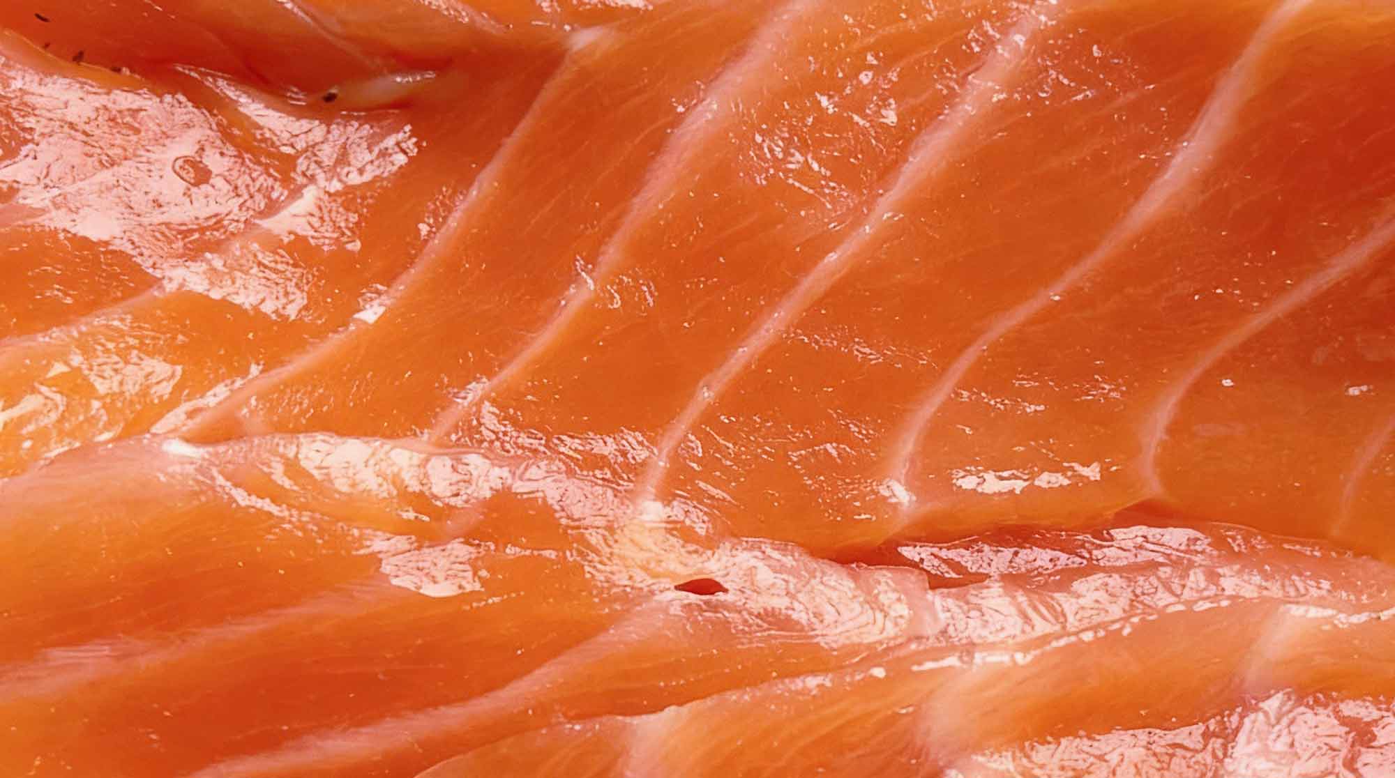 CoQ10 supplement — Salmon representing coenzyme Q10 in Superwild Super Everyday