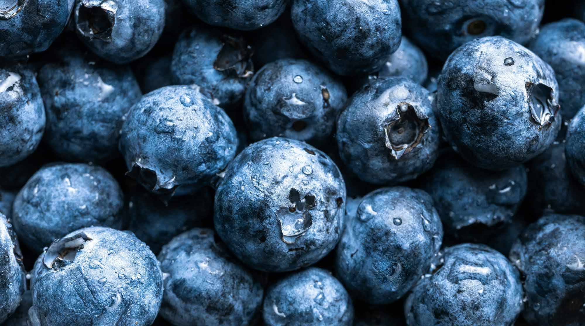 Fresh blueberries — antioxidant-rich ingredient in Superwild Super Everyday