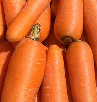 Fresh carrots — source of beta carotene in Superwild Super Everyday