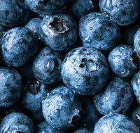 Fresh blueberries — antioxidant-rich ingredient in Superwild Super Everyday