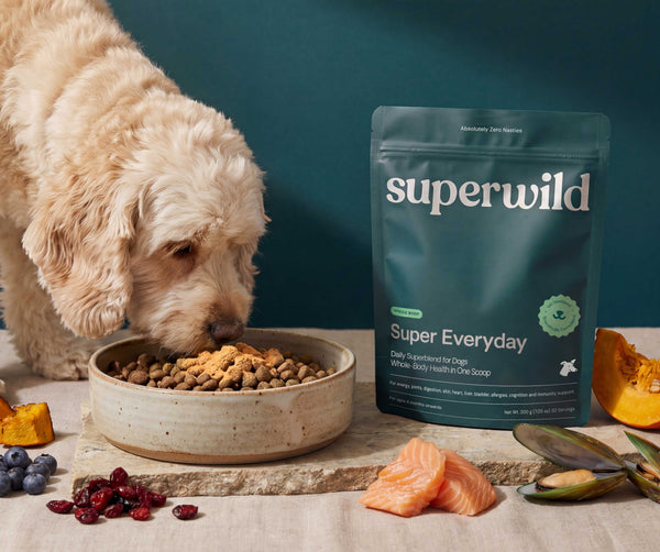 Superwild Super Everyday supplement powder pouch with ingredient highlights