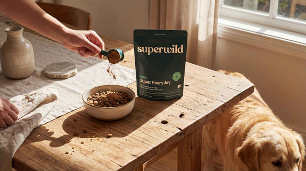 Dog eating food topped with Superwild Super Everyday supplement powder