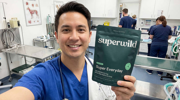 Veterinarian holding a pouch of Superwild Super Everyday dog supplement
